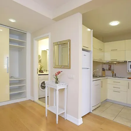 Cheya Sisli Bnb Medical & Business City Center Tesvikiye Suites And Apartments Istanboel Buitenkant foto